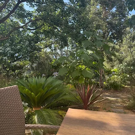 بيت ضيافة La Demeure De Poulpican Broceliande Jacuzzi Charme Et Romantique Restaurant A 300m Golfe Saint Tropez