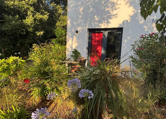 La Demeure De Poulpican Broceliande Jacuzzi Charme Et Romantique Restaurant A 300m Golfe Saint Tropez بيت ضيافة لا كروا فالميه